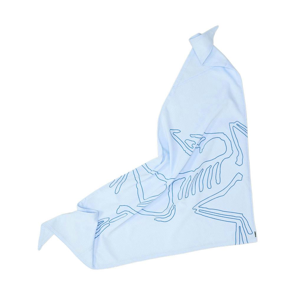 Arc'teryx sinsolo bandana alpine blue