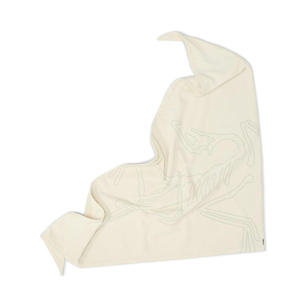 Arc'teryx sinsolo bandana sea salt
